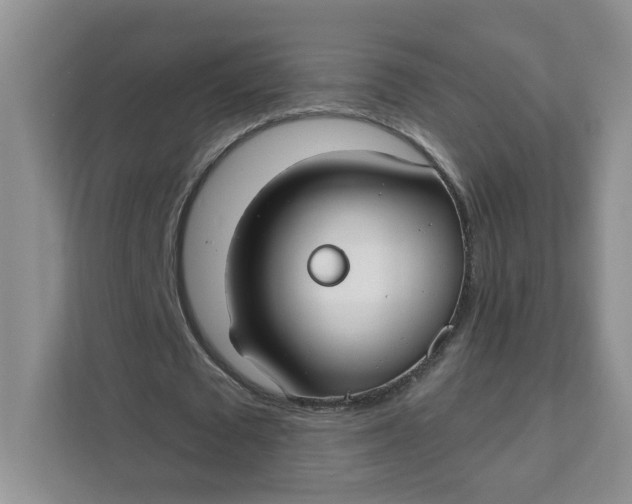 X0000111890673200908061334