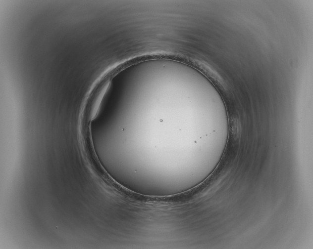 X0000111890676200908061334