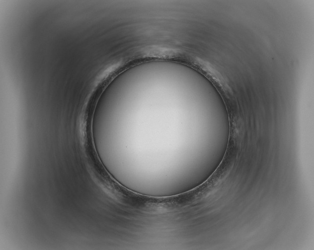 X0000111890679200908061334