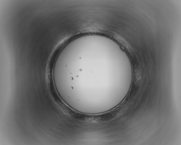 X0000111890680200908061334