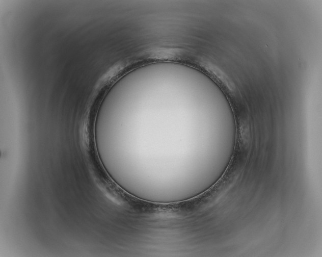 X0000111890682200908061334