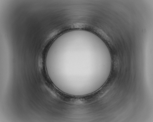 X0000111890683200908061334