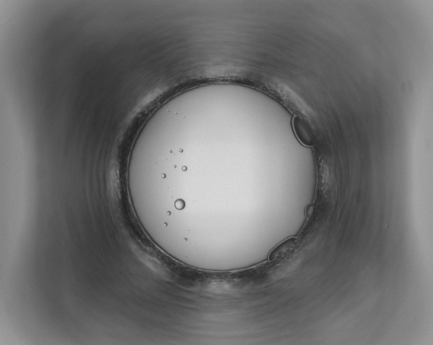 X0000111890684200908061334