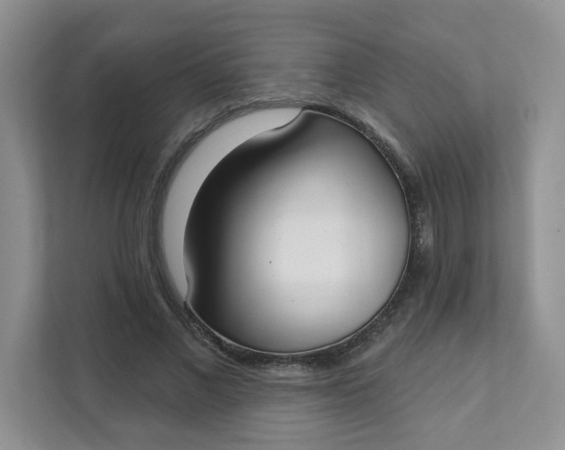 X0000111890685200908061334