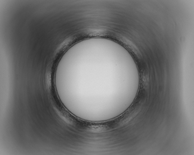 X0000111890686200908061334