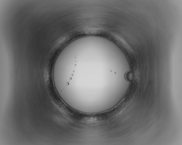 X0000111890687200908061334