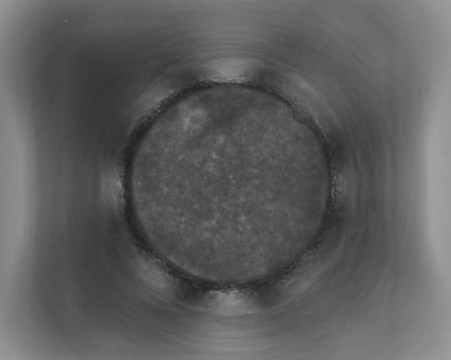 X0000111890688200908061334