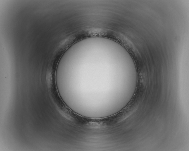 X0000111890690200908061334