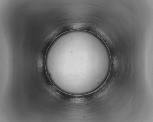 X0000111890691200908061334