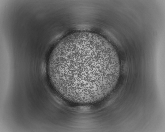 X0000111890692200908061334