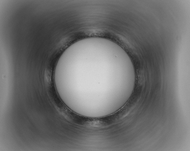 X0000111890695200908061334