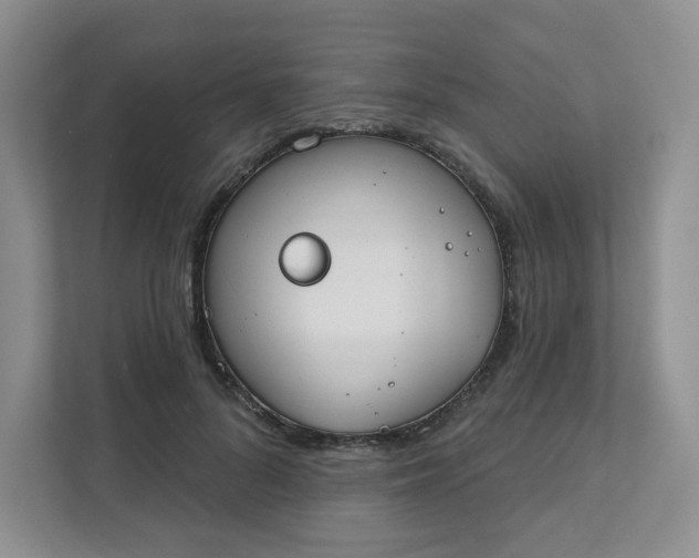 X0000111890696200908061334