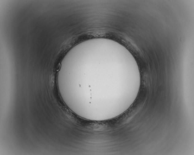 X0000111890697200908061334