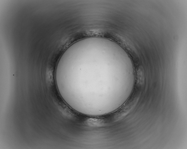 X0000111890699200908061334