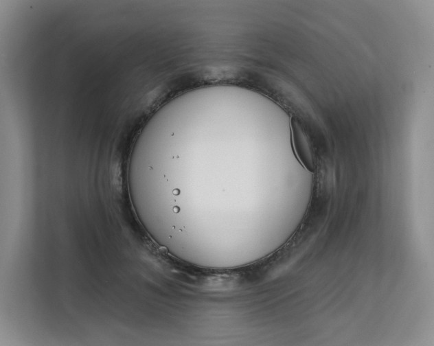 X0000111890700200908061334