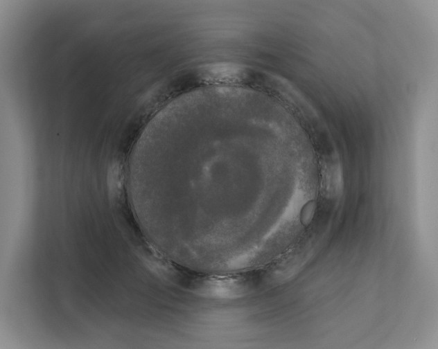 X0000111890701200908061334