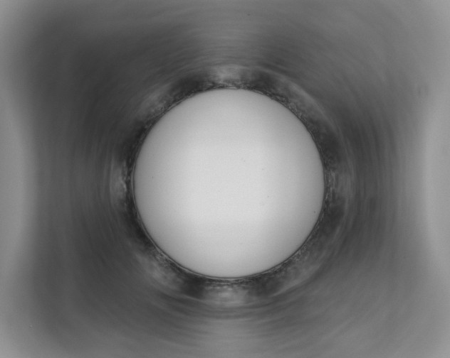 X0000111890702200908061334