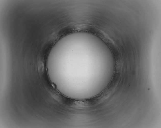 X0000111890703200908061334