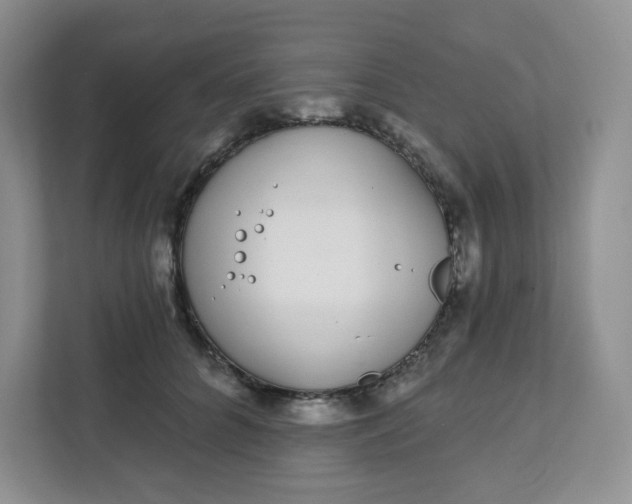 X0000111890704200908061334