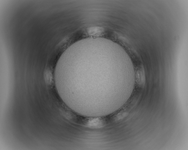 X0000111890705200908061334