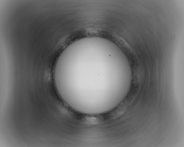 X0000111890706200908061334