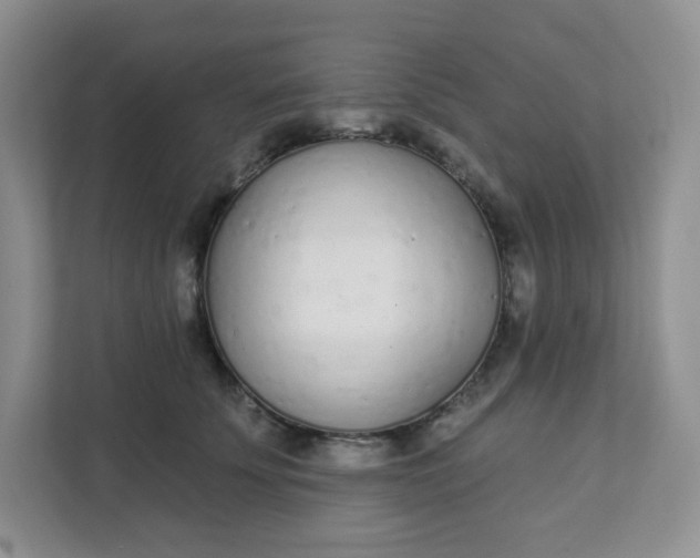 X0000111890707200908061334