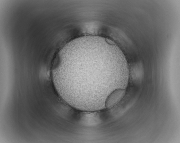 X0000111890709200908061334