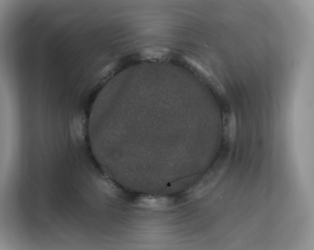 X0000111890712200908061334