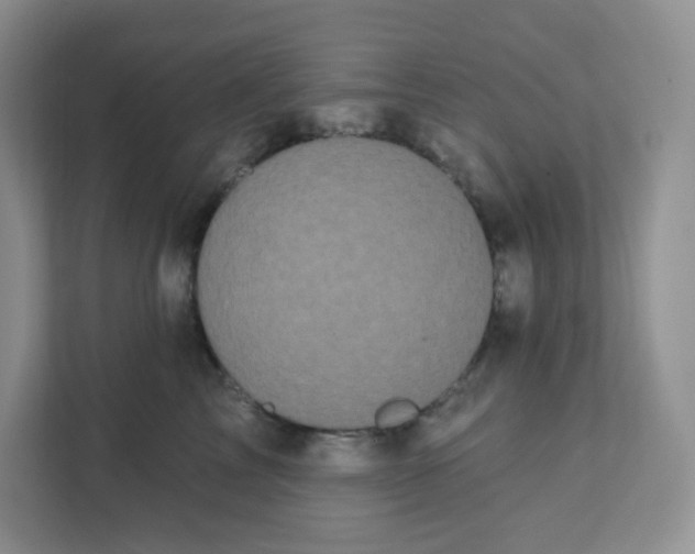 X0000111890713200908061334