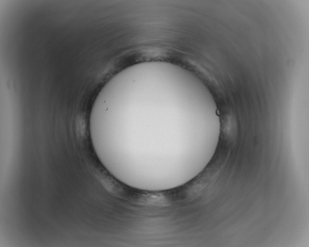 X0000111890715200908061334