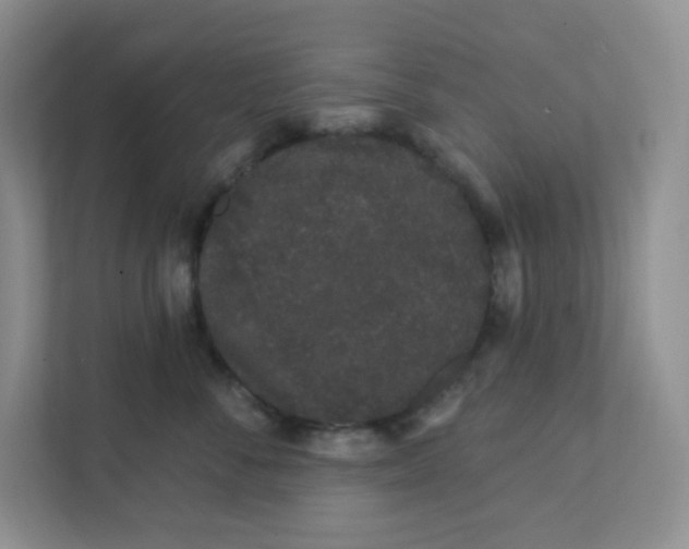 X0000111890716200908061334