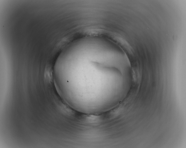 X0000111890718200908061334