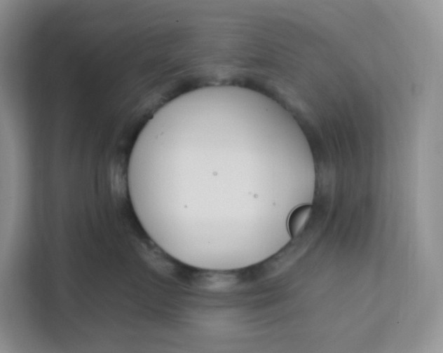 X0000111890719200908061334