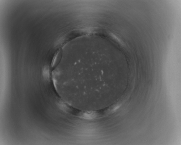 X0000111890720200908061334