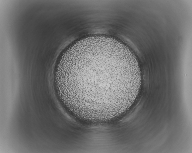 X0000111890721200908061333