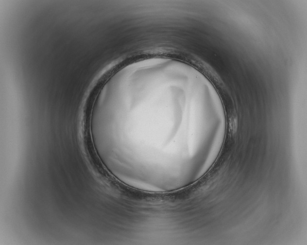 X0000111890724200908061333