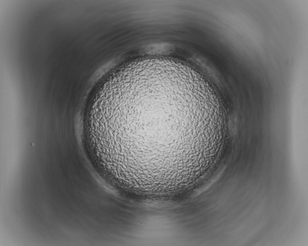 X0000111890725200908061333