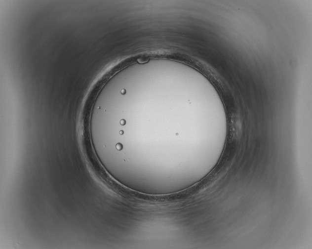 X0000111890726200908061333