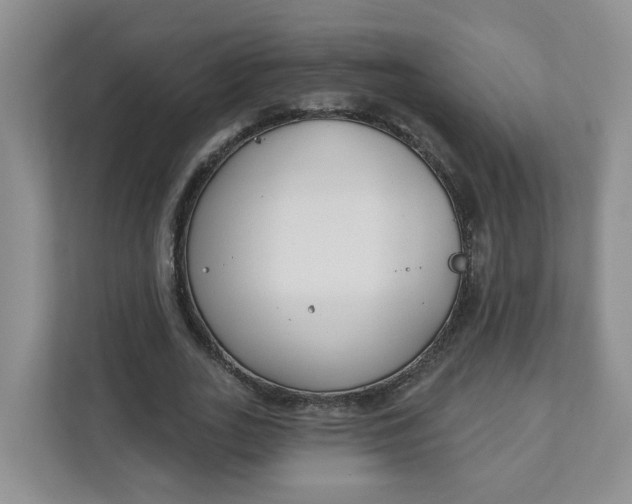 X0000111890727200908061333