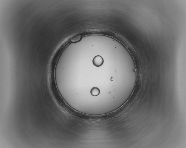 X0000111890728200908061333