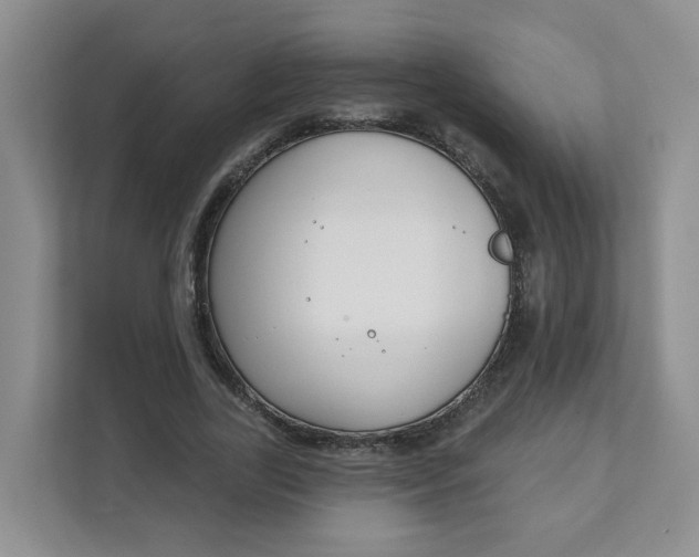 X0000111890731200908061333