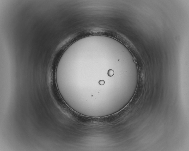 X0000111890732200908061333