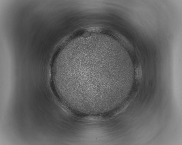 X0000111890733200908061333