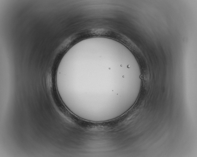 X0000111890734200908061333