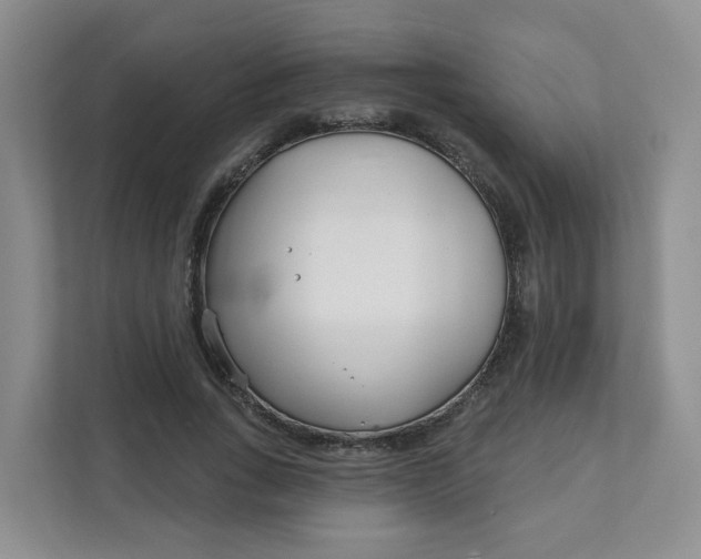 X0000111890735200908061333