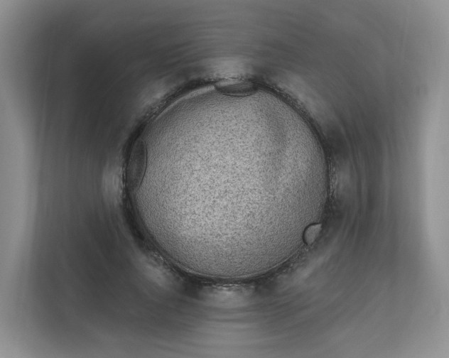 X0000111890736200908061333