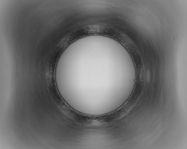 X0000111890737200908061333