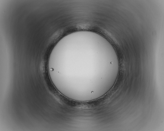 X0000111890738200908061333