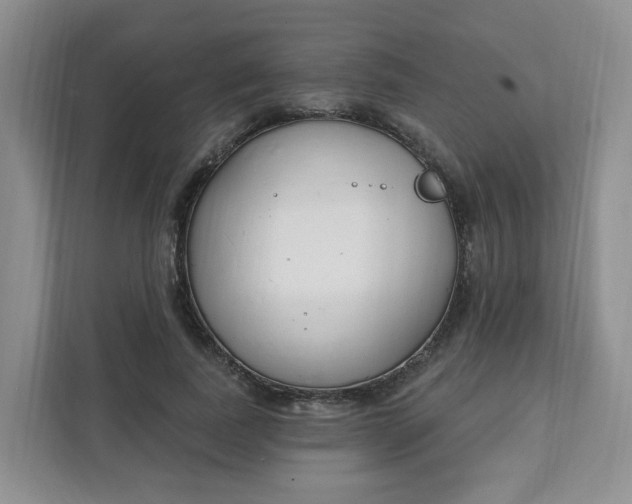 X0000111890739200908061333