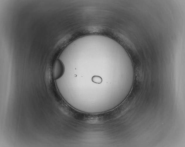 X0000111890740200908061333